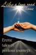 Like a Long Road Home by Circlet Press