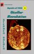 Stellar Revolution (Book 5 of Agents of ISIS) by Stephen Goldin