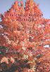The Cheap Retreat Workbook by Catharine Bramkamp