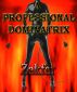 A Professional Dominatrix by Zakfar 