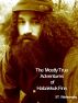 The Mostly True Adventures of Habukkuk Finn by St. Wishnevsky