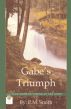Gabe's Triumph by P.M. Smith