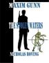 Maxim Gunn and the Stolen Waters by Nicholas Boving