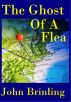 The Ghost Of A Flea by John Brinling