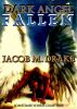 Dark Angel: Fallen by Jacob Drake