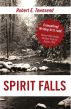 Spirit Falls by Robert Townsend