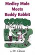 Medley Mole Meets Buddy Rabbit by Dr. Claus