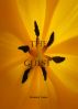 THE GUEST by Jeremy Lane