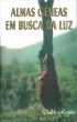 Almas Gêmeas em Busca da Luz by Dulce Regina