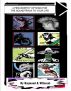 A Few Worthy Options for the Soundtrack to Your Life by Raymond A. Villareal
