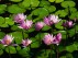 20 Dating Digs by Ada Elechi