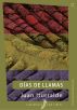 Días de llamas by Juan Iturralde