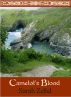 Camelot's Blood by Book View Cafe