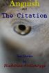 Anguish and The Citation by Nicholas Antinozzi