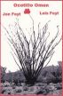 Ocotillo Omen by Jon and Lois Foyt