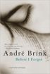 Before I Forget by Andre Brink