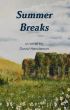 Summer Breaks: a novel by David Henderson