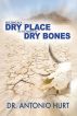 Building in a Dry Place in the Midst of Dry Bones by Antonio Hurt