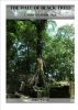 The Hall of Black Trees by A. S. Warwick