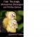 From The Jungle: Monkeyshines, Shenanigans, and Primitive Opinions (2nd edition) by j guevara