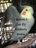 I Believe I Can Fly by Kimberly Morin