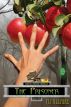 The Prisoner: Denicalis Dragon Chronicles - Book Two by MJ Allaire