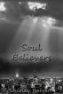 Soul Believers by Shirley Barrett