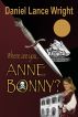 Where are you, Anne Bonny? by Rogue Phoenix Press 