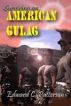 Surviving an American Gulag by Edward C. Patterson