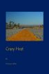 Crazy Heat by Francene LaDue