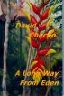 A Long Way From Eden by David Chacko