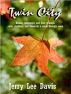 Twin City by Jerry Lee Davis