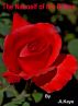 The Nanoelf of the Roses by JL Kaye