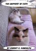 The Happiest of Cats by Robert Randolph