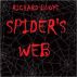 Spider's Web by Richard Buoye