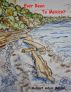 Ever Been To Mexico? by Robert Adair Wilson
