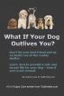 What If Your Dog Outlives You? by Louise Louis