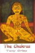Chakras - The Vestigial Organs Left in us by Earlier Races by Tony Crisp