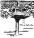 Playing in the Tree House With My Big Brother by Shannon Glenn