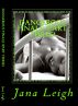 Dangerous Finale (Part Three) by Leigh Brock