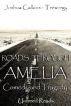 Roads Through Amelia: Comedy and Tragedy by Joshua Calkins-Treworgy