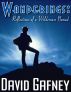 Wanderings, Reflections of a Wilderness Nomad by David Gafney