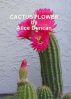 Cactus Flower by Alice Duncan