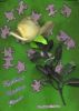 Kathryn - Missing Pieces by Genara Palmer