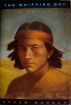 The Whipping Boy by Speer Morgan