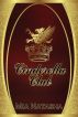 Cinderella Club by Mia Natasha