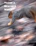 Maggie's Beautiful World by Gren Blackall