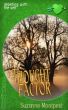 Thought Factor Debating With The Inner Self by Suzanne Montpetit
