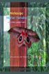 Matasapo, Mister Yamaha and other Jungle Tales by Howard Kramer