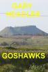 Goshawks by Gary Headlee